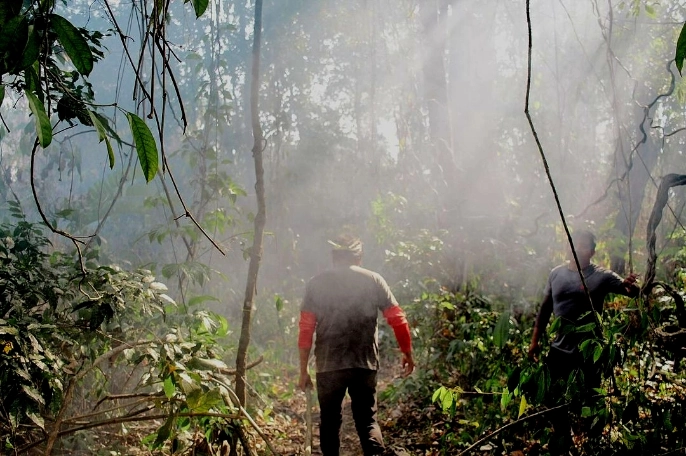 Fire advances upon indigenous land and communities mobilize to fight the burnings