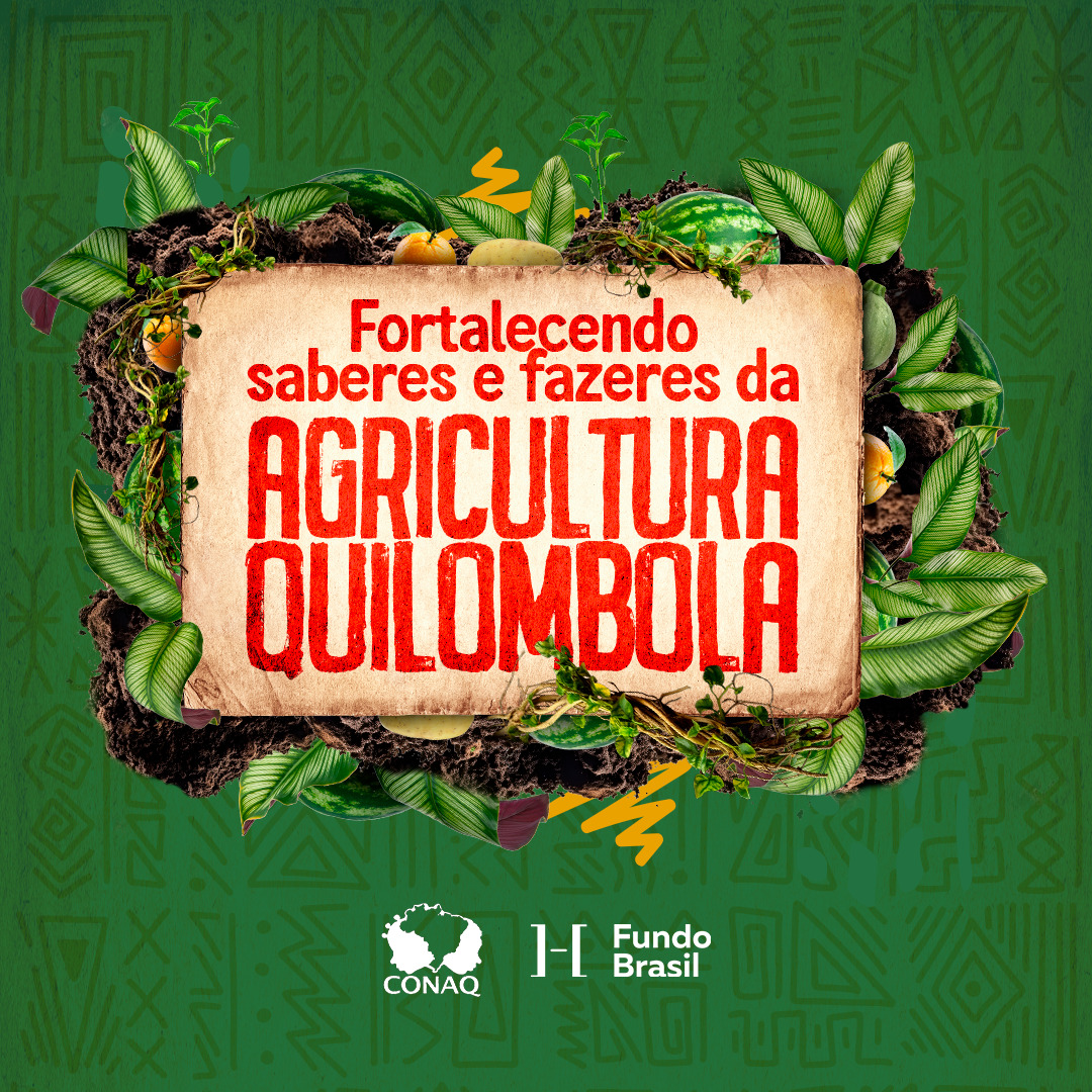 Confira o resultado do edital Fortalecendo Saberes e Fazeres da Agricultura Quilombola 