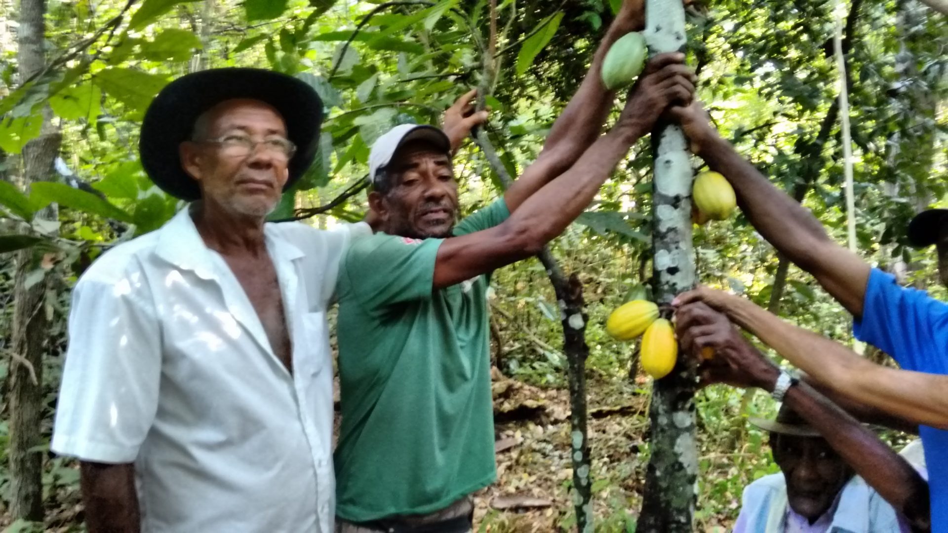 Quilombolas ocupam sede da fazenda Marobá em Almenara (MG)