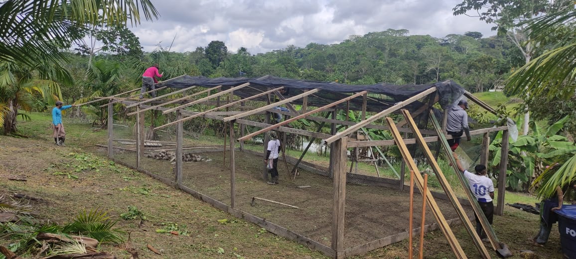 No Acre, projeto indígena da Colônia 27 vai reflorestar 305 hectares de mata