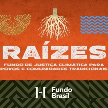 Raízes 